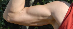 My arms