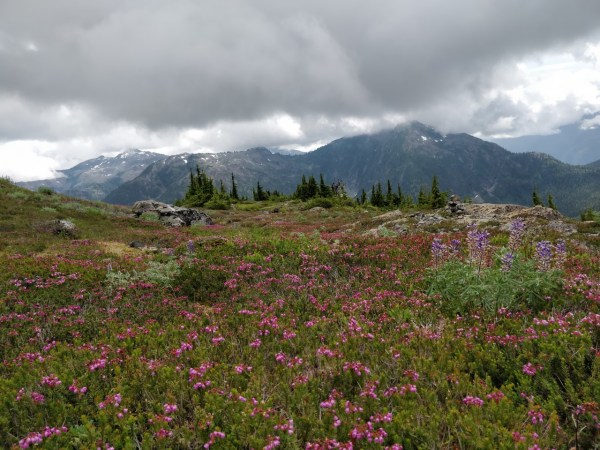 thumbnail_IMG_20190727_152417