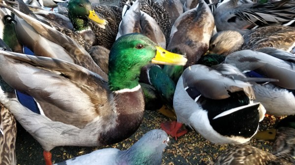 thumbnail_IMG_20191113_145345