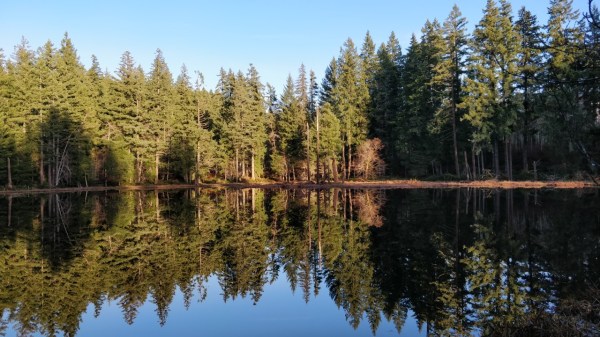 thumbnail_IMG_20191215_152004