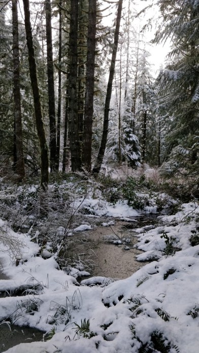 thumbnail_IMG_20200116_154157